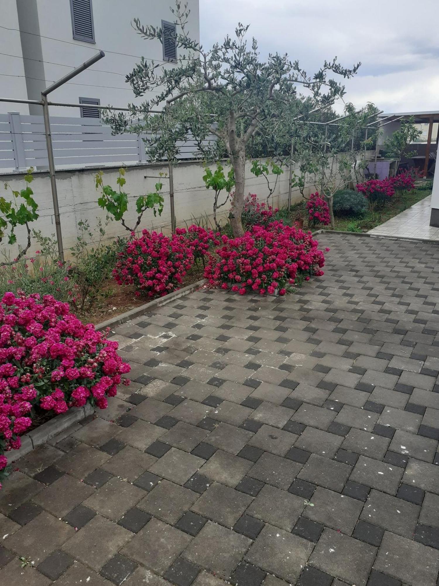 Barbara Apartamento Zaton  Exterior foto